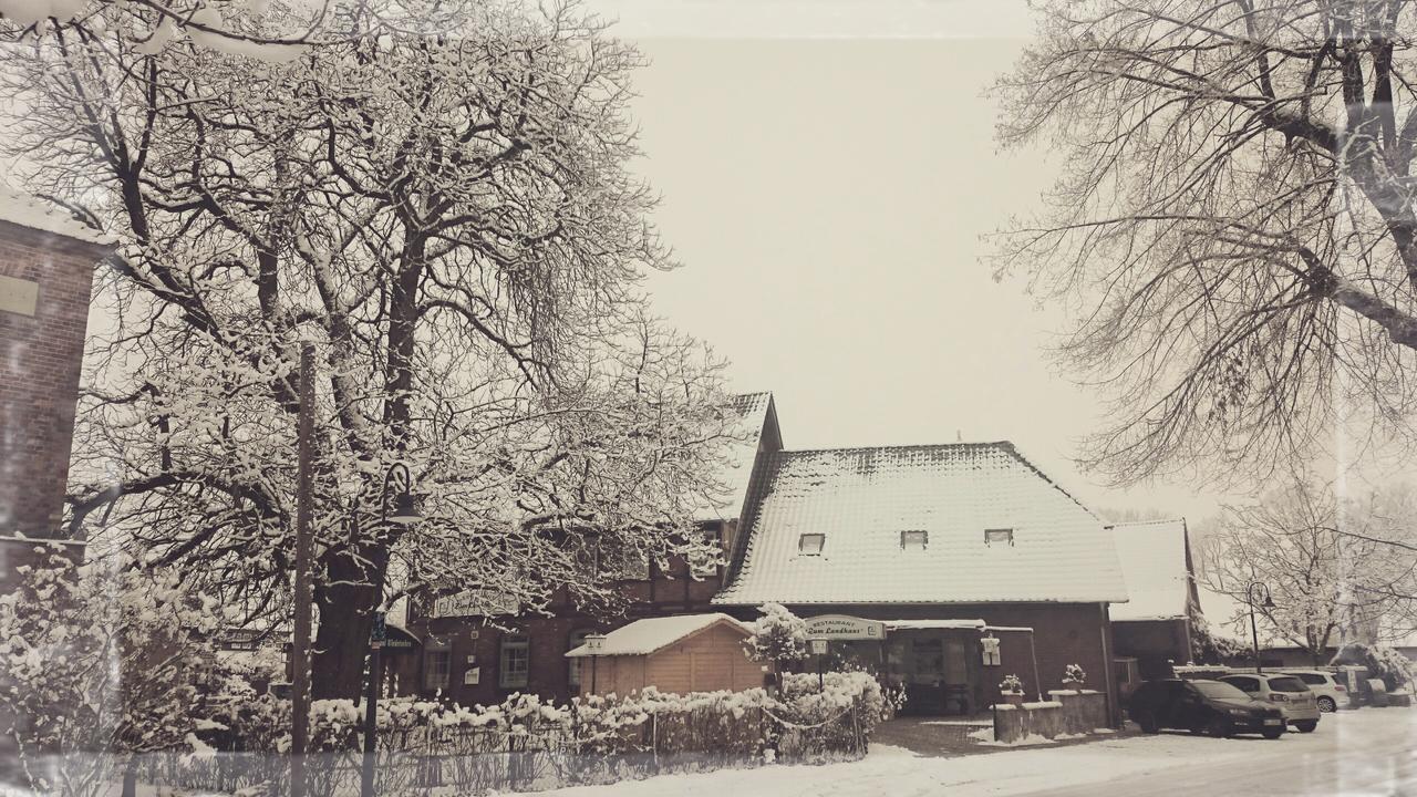Zum Landhaus Dannenbuettel Sassenburg Exteriér fotografie